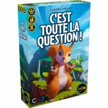 C'est toute la question