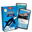 Défis nature animaux marins