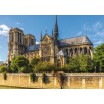 France notre dame 1000P