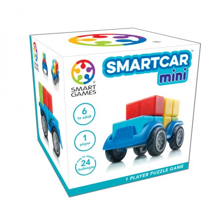 Smart car mini