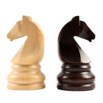 Pièces échecs n°0