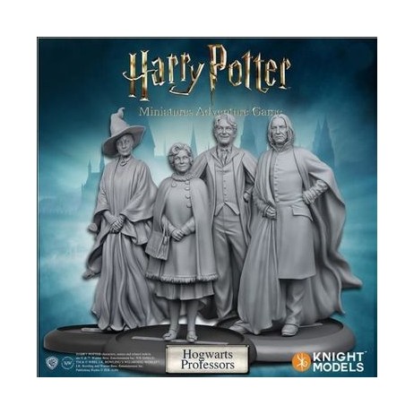 Harry Potter - Hogwarts Professor