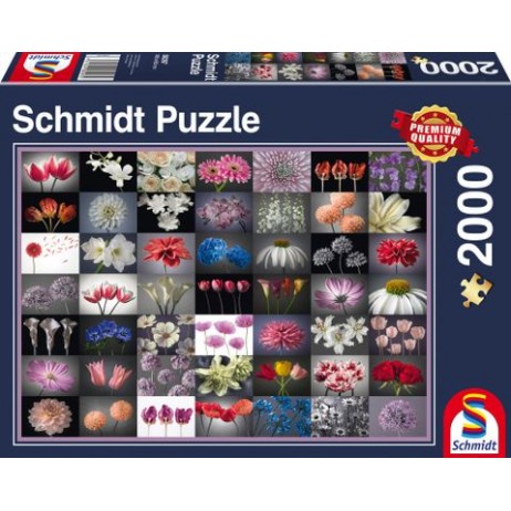 Puzzle 2000p Pensée fleurie