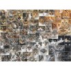 Puzzle 1000 p animal têtes de chats