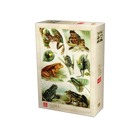 Puzzle 1000 p encyclopedia frogs