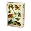 Puzzle 1000 p encyclopedia frogs