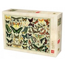 Encyclopedia butterflies 1000P