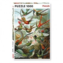 Puzzle 1000p Haeckel Colibris