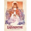Labyrinthe le jeu d'aventure