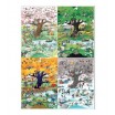 Puzzle 2000 p 4 Seasons