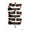 Oracle I Ching Holitzka