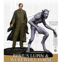 Harry Potter - Remus Lupin