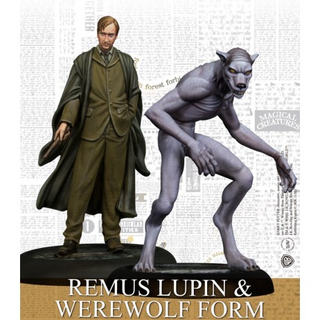 Harry Potter - Remus Lupin