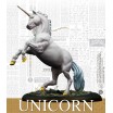 Harry Potter - Unicorn adventure pack