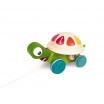 Tortue a promener zigolos