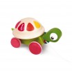 Tortue a promener zigolos