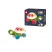 Tortue a promener zigolos