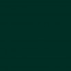 Extra opaque vert noir