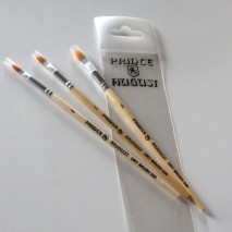 Set pinceau brosses