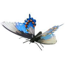 Metal Earth Papillon Pipevine Swallow tail