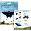 Metal Earth Papillon Pipevine Swallow tail
