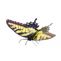 Metal Earth Papillon glauque
