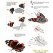 Metal Earth Papillon Red Admiral