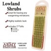 Lowland shrub tuft