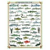 Puzzle 1000 p Poisson d'Eau Douce