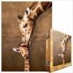 Puzzle 1000 p Le Câlin de la Girafe