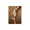Puzzle 1000 p Le Câlin de la Girafe