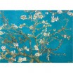 Puzzle 1000 p Amandiers en Fleur Van Gogh