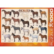 Puzzle 1000 p Chevaux Eurographics 
