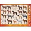 Puzzle 1000 p Chevaux Eurographics 