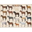 Puzzle 1000 p Chevaux Eurographics 
