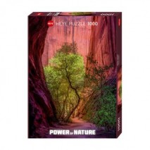 Puzzle 1000 p Power of Nature Singing Canyon heye