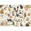 Puzzle chats 1000 pièces
