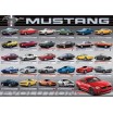 Puzzle 1000 p Evolution Ford Mustang