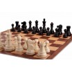 Dgt chess starter box