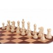 Dgt chess starter box
