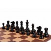 Dgt chess starter box