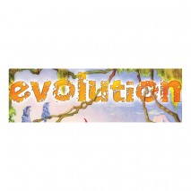 Evolution carte promo