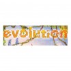 Evolution carte promo