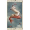 Tarot Nicoletta Ceccoli