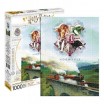 Puzzle 1000 p Express harry Potter