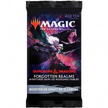 Forgotten Realms Booster FR
