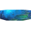 Aquablue écran