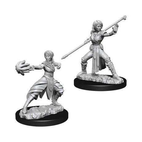 D&D Miniatures Female Half-Elf Monk
