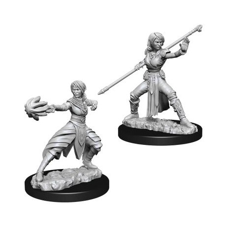 D&D Miniatures Female Half-Elf Monk