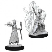 D&D Miniatures Female Human Warlock